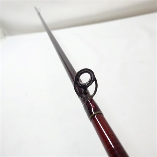 スーパーパルサーＺ３０ＴＣＦＺ－８０４０Ｔ